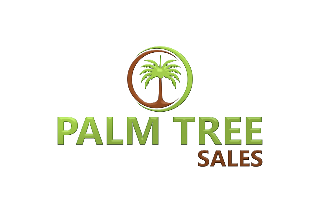 Palm Trees for Sale Melbourne Palm Tree Sales